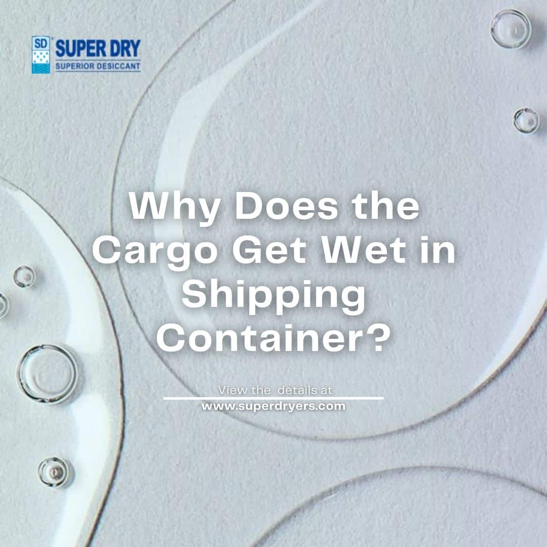 Why Does the Cargo Get Wet in Shipping Container? Super Dry